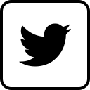 twitter icon